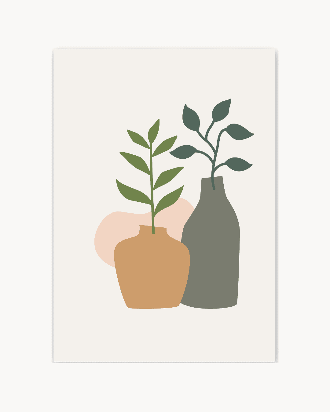 Aralia
