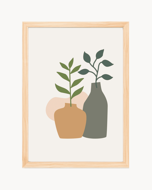 Aralia